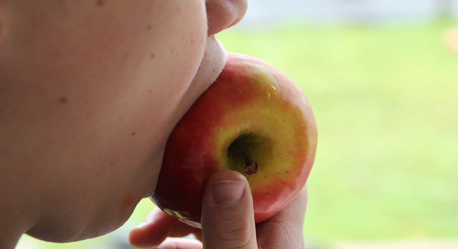 ¿Cómo enseñar a masticar a un niño?